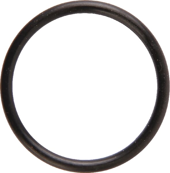 O-Ring aus der Kategorie Rückenspritzen und Handspritzen