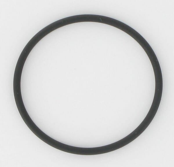 O-Ring aus der Kategorie Rückenspritzen und Handspritzen