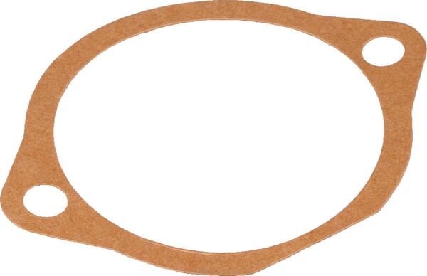 Dichtung 0,3 mm (M66100124R) – passend für Maschio