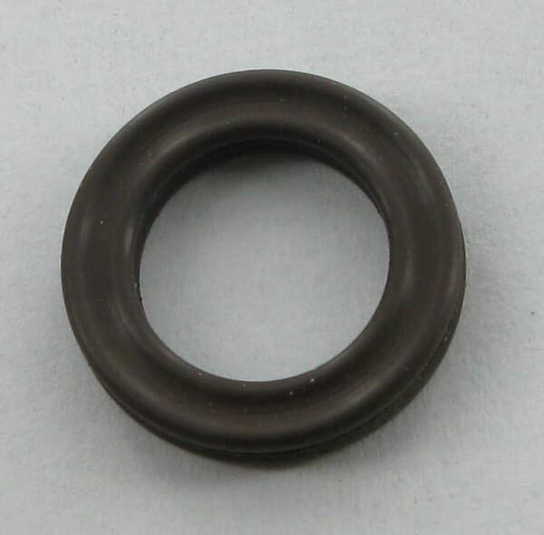 O-Ring (25573)