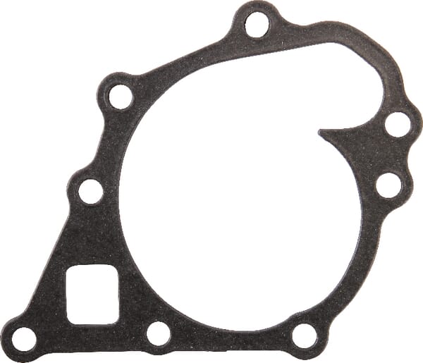 Külhmittelpumpe dichtung (34396)