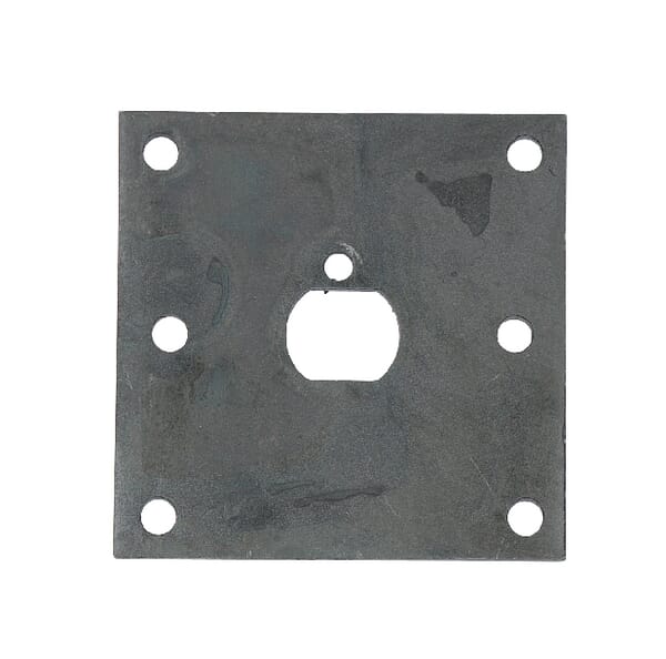 Druckplatte (E03145ASM) - unserem Sortiment für AS-Motor Ersatzteile