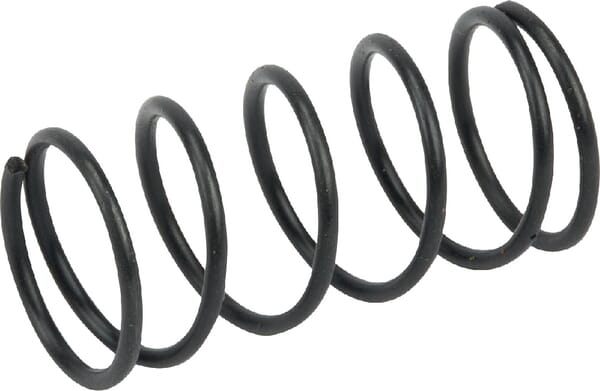Spulenfeder (413453)