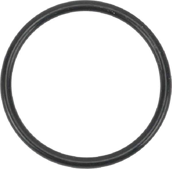 O-Ring s26.0 (24341000260)