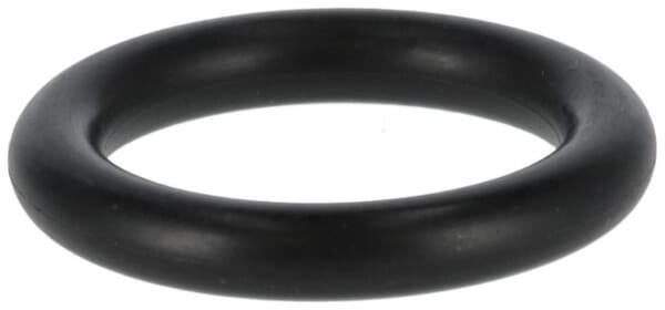 O-Ring (P788091)