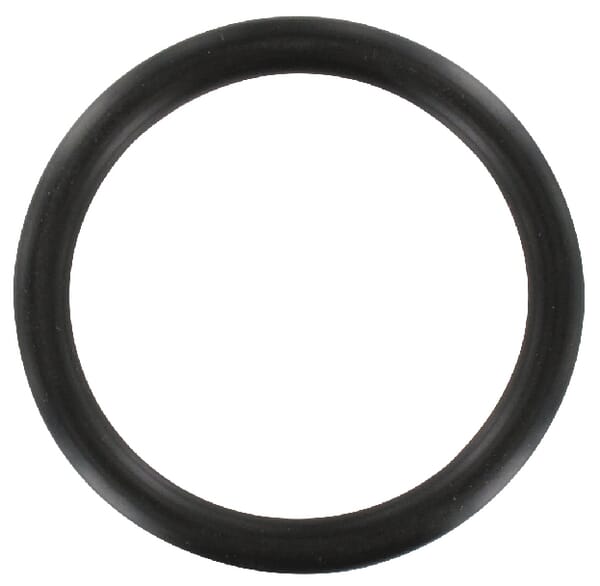 O-Ring Gloria aus der Kategorie Rückenspritzen und Handspritzen