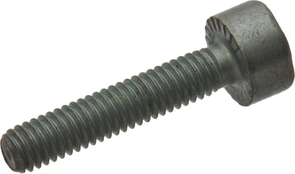 Vielzahnschraube IS M4x20 (90223710710) von Stihl Aus unserem Sortiment für Stihl Ersatzteile