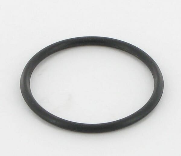 O-Ring aus der Kategorie Rückenspritzen und Handspritzen