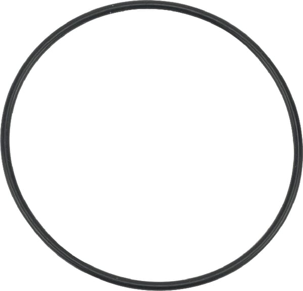 O-Ring 1a s60 (19215726560)