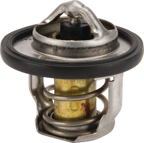 Motor Thermostat M811895