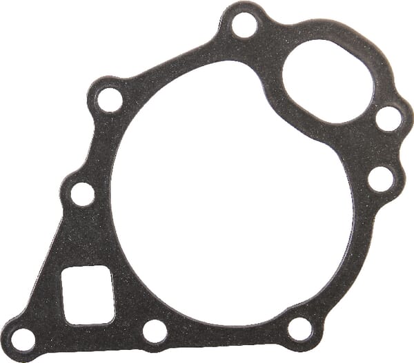 Kühlmittelpumpe dichtung (34395)