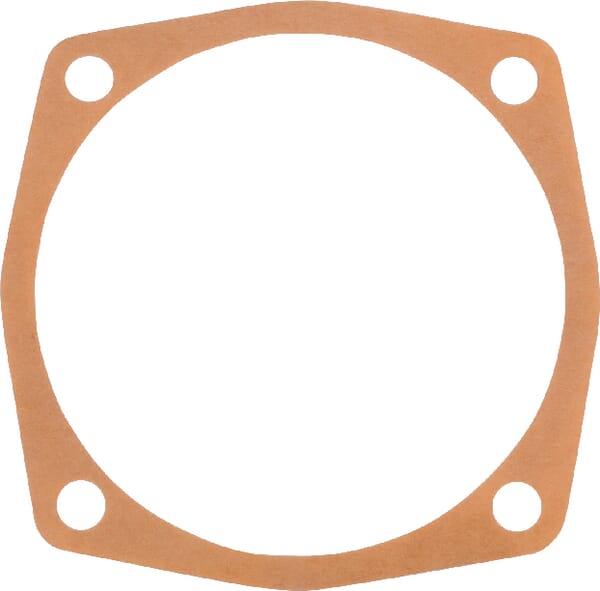 Dichtung 0,1 mm Maschio (M24100123R) – passend für Maschio