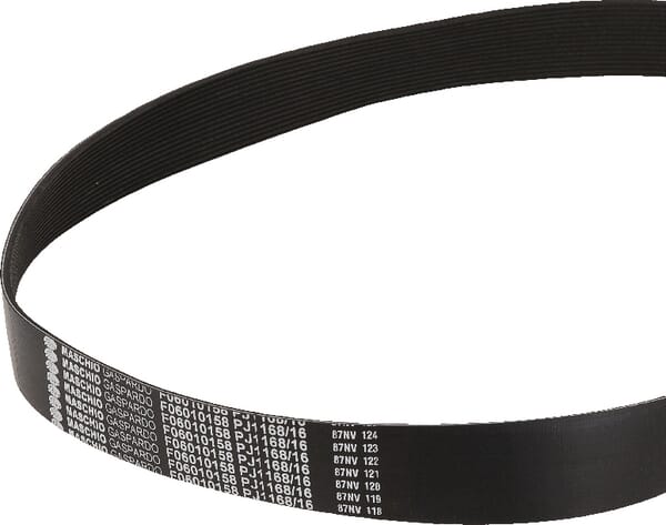 Keilriemen 1168 J16 Gaspardo (F06010158R) – passend für Gaspardo