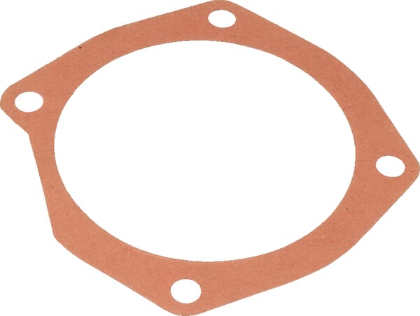 Dichtung (M10100125R) – passend für Maschio
