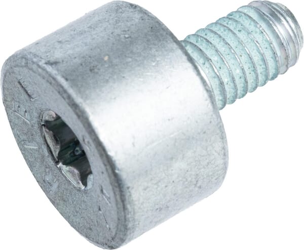 Vielzahnschraube IS-M5x8,8-10.9 (90223460955) von Stihl Aus unserem Sortiment für Stihl Ersatzteile