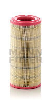 Filter Luftfilterelement C173372