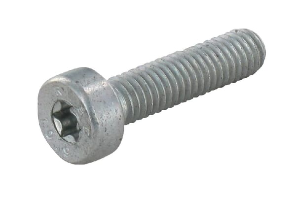 Zylinderkopfschraube IS-M 5x25 (42377160400)