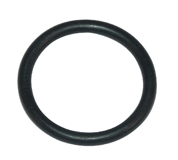 O-Ring (P788051A)