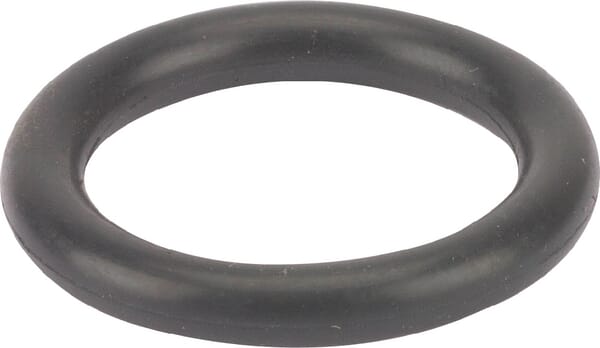 O-Ring aus der Kategorie Rückenspritzen und Handspritzen