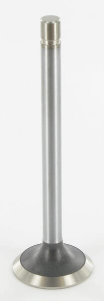 R89219 Einlassventil