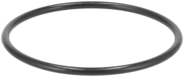 O-Ring G65.0 (24321000650)