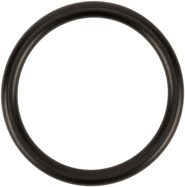 O-Ring D31,34 (RIF.4125) aus der Kategorie Pumpen
