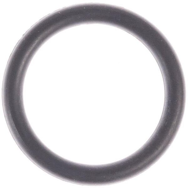 Dichtring (P788053)