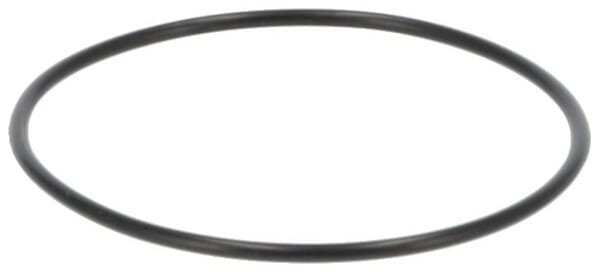 O-Ring (P788024)