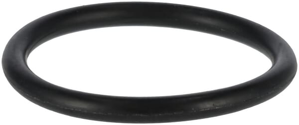 O-Ring P32 (24311000320)