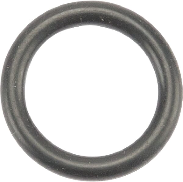O-Ring aus der Kategorie Rückenspritzen und Handspritzen