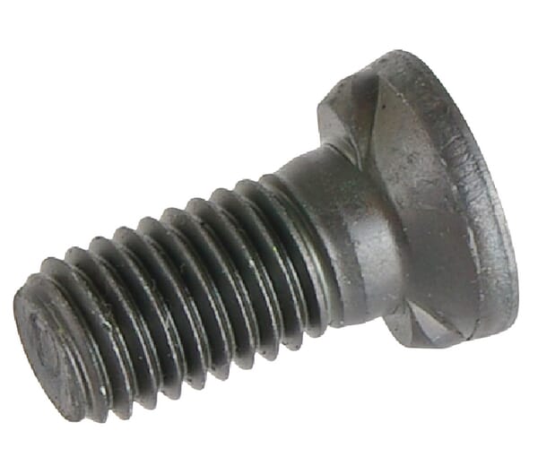 Pflugschr. m. 2-Na. M12x30 10.9 502510