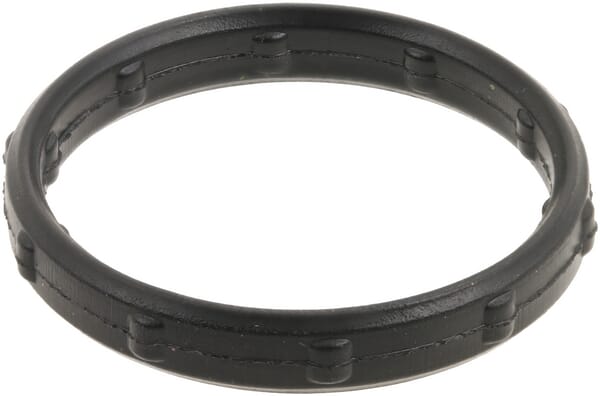Motor Dichtring R504669