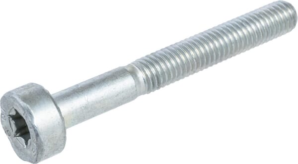 Vielzahnschraube IS - M5x40 (90223411090) von Stihl Aus unserem Sortiment für Stihl Ersatzteile