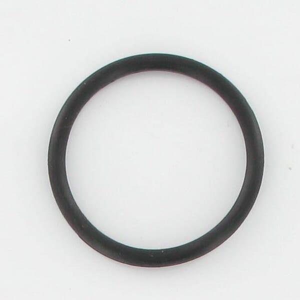 O-Ring aus der Kategorie Rückenspritzen und Handspritzen