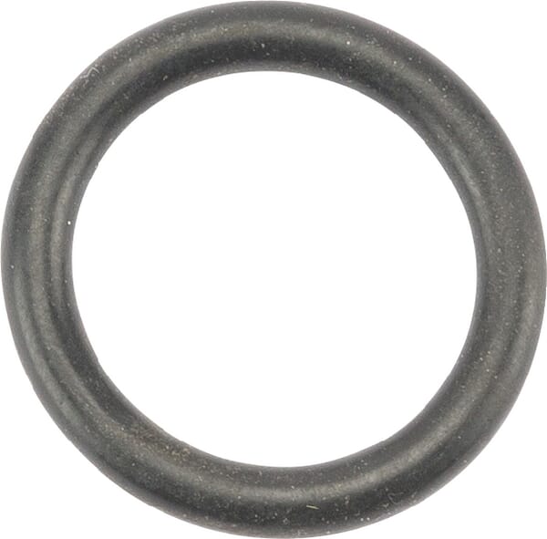 O-Ring aus der Kategorie Rückenspritzen und Handspritzen