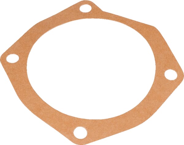 Dichtung (M10100164R) – passend für Maschio