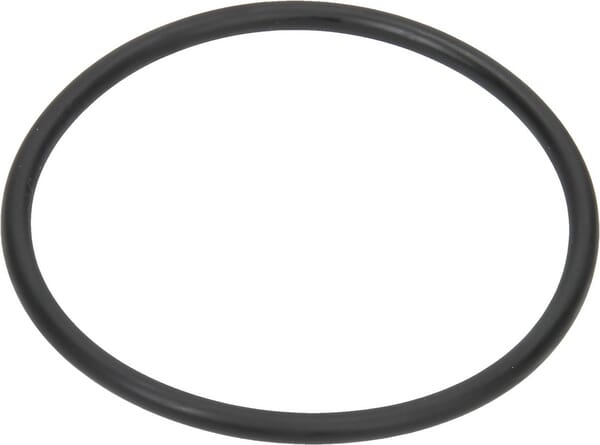 O-Ring 91,44 x 5,34 EPDM aus der Kategorie Tanks und Filter