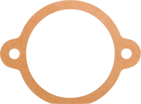 Dichtung (M29100131R) – passend für Maschio