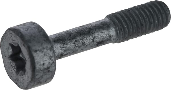 Innenkeilprofil-Schraube (90223731025) von Stihl Aus unserem Sortiment für Stihl Ersatzteile