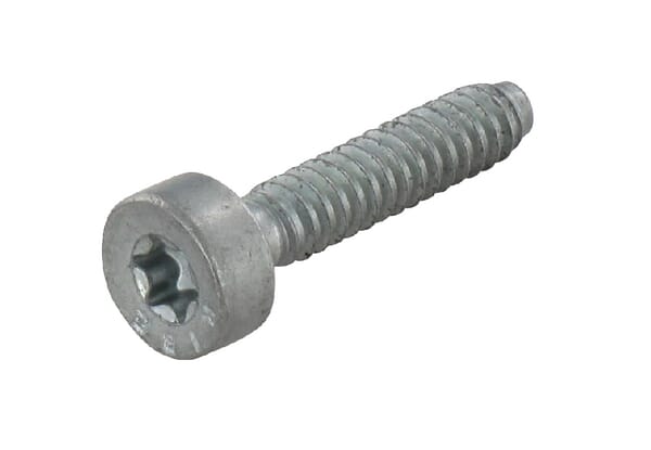 Zylinderkopfschraube IS-D 5x24 (90754784159)