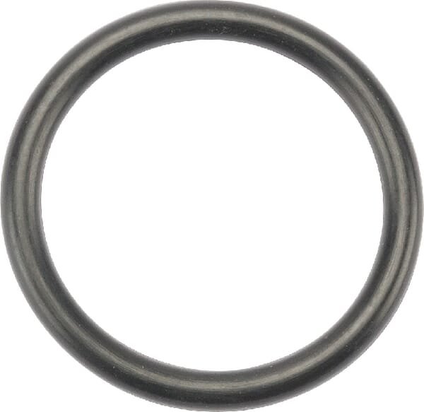 O-Ring aus der Kategorie Rückenspritzen und Handspritzen