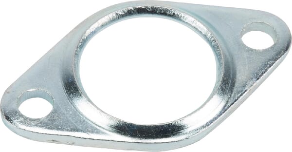 Flansch Bertolini aus der Kategorie Pumpen