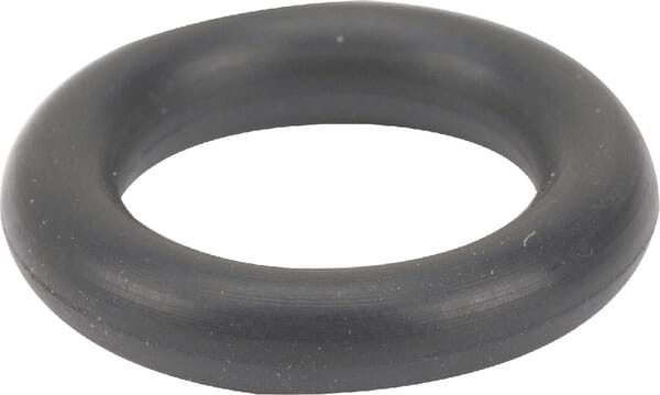 O-Ring aus der Kategorie Rückenspritzen und Handspritzen