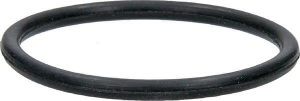 O-Ring aus der Kategorie Rückenspritzen und Handspritzen