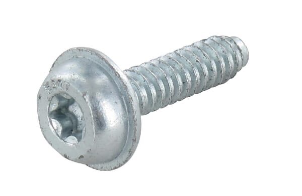Schraube (00009511100)