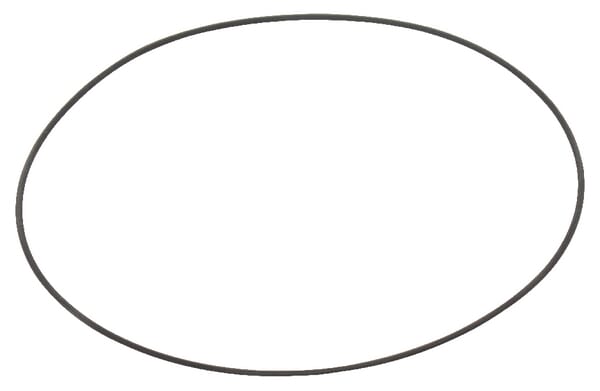 O-Ring/Filter-Dichtring Solo aus der Kategorie Rückenspritzen und Handspritzen