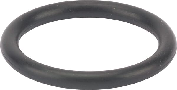 O-Ring p18 (24311000180)