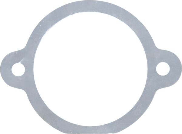Dichtung (M29100129R) – passend für Maschio