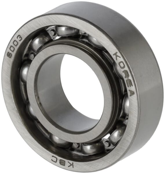 Lager 6003 C3 (187N0013430)