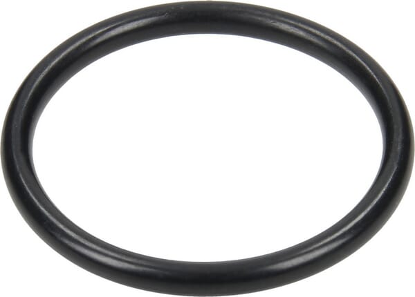 O-ring aus der Kategorie Pumpen